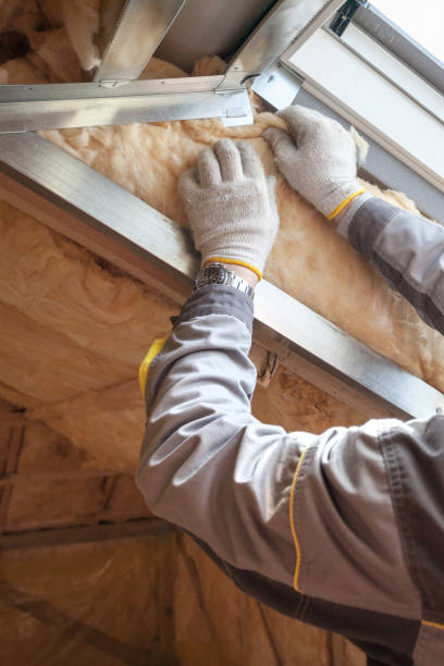 Best Affordable Insulation Services  in Bloomfield, IA