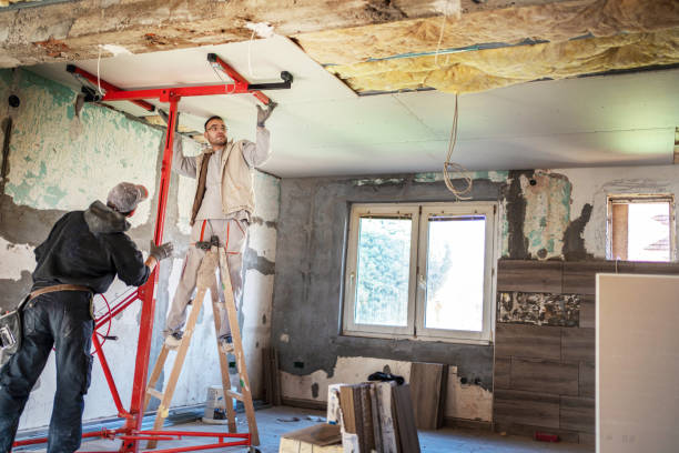 Best Attic Insulation Installation  in Bloomfield, IA